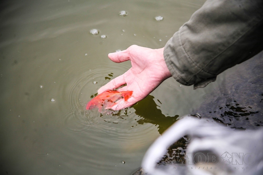 27906657 15833626384