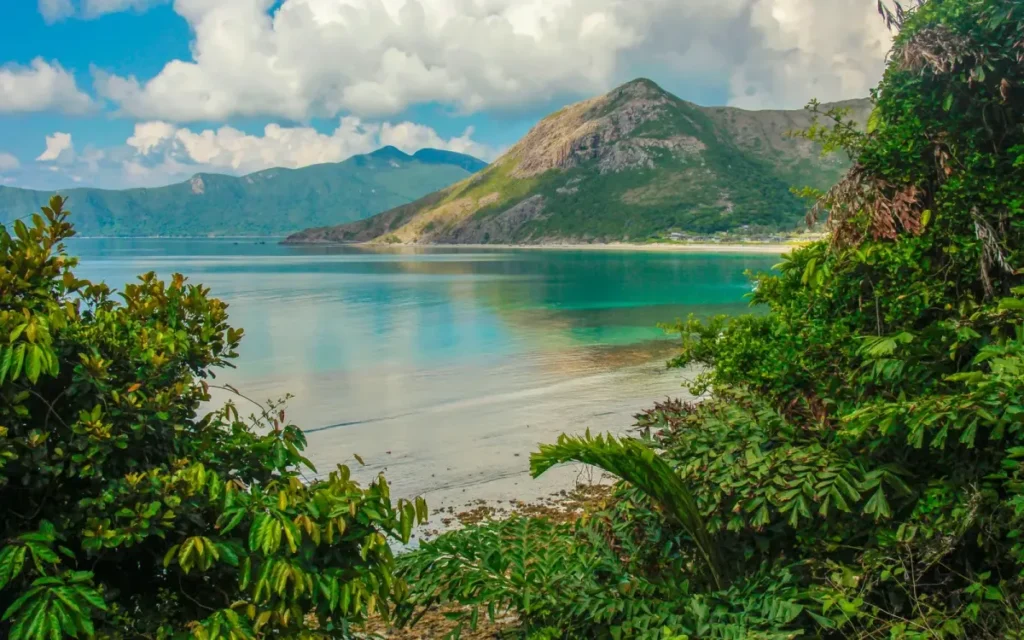 con ao 18434120676798069527575 51351328581609734200428