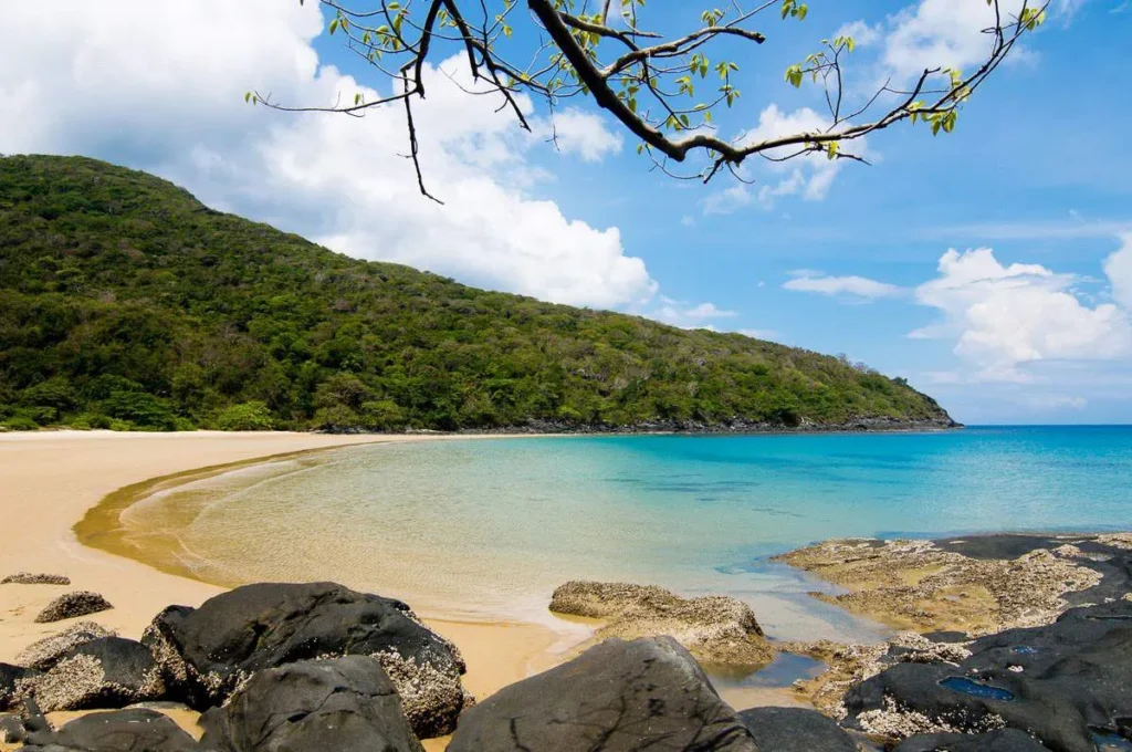 con ao 2 28528316563978402464961