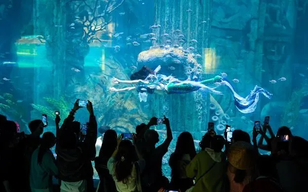 package media 38281131499081015808630 09322096385638919967401